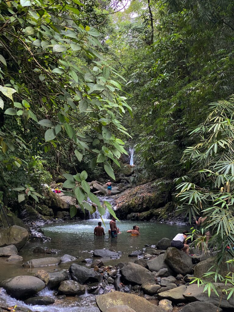 Uvita waterfall trees and vines hanging