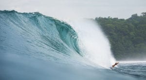 Types of waves: Plunging