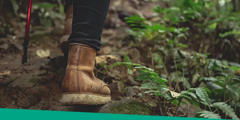 forest-adventure