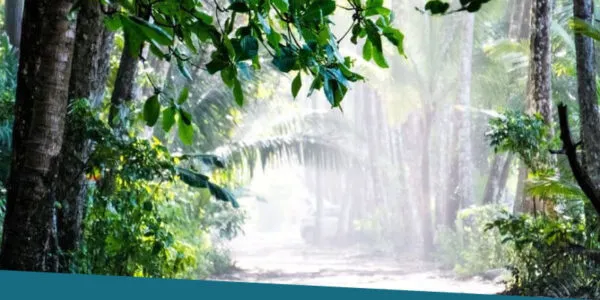 travel-hub-bahia-vidoes-600x300