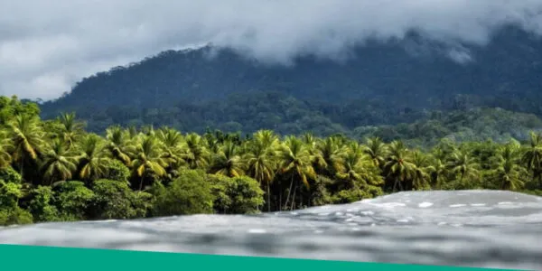travel-hub-bahia-blogs-600x300