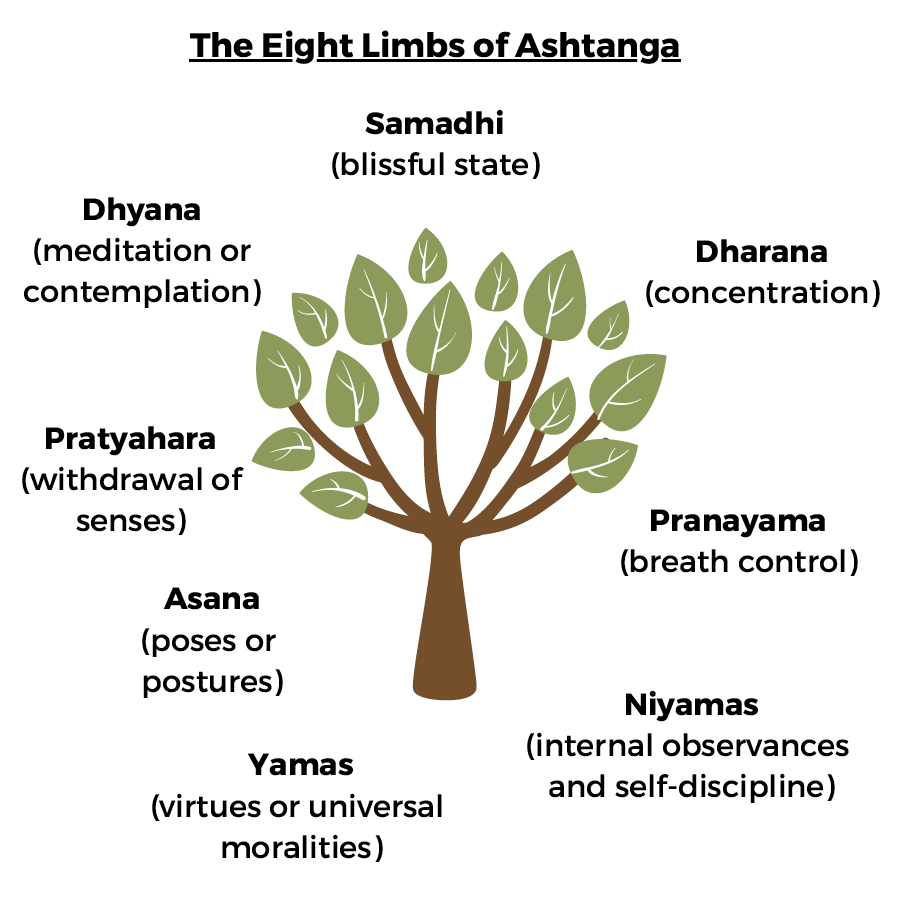 8 Limbs of Yoga Infographic
