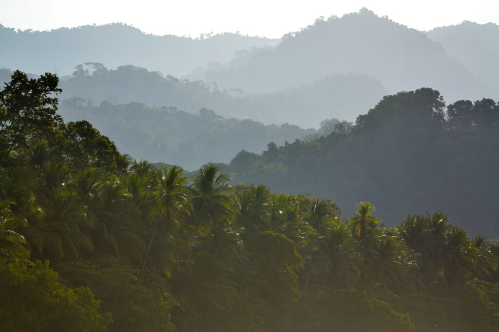 Costa Rica rainy season green trees