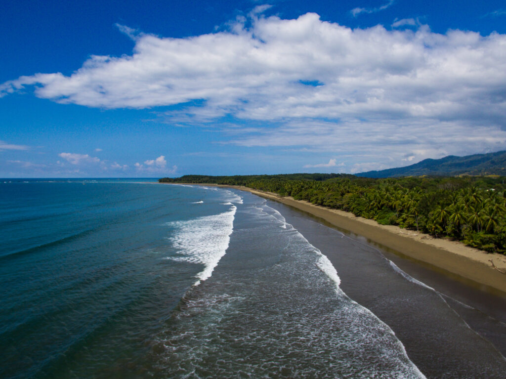 summer season surf