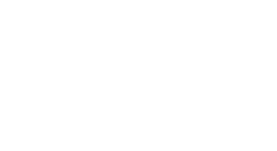 bodhi-awaken-surfer-logo