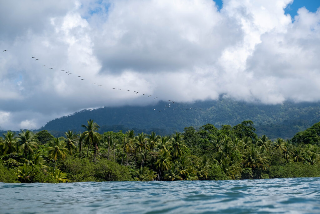 Marino Ballena National Park in the Osa Peninsula, Costa Rica