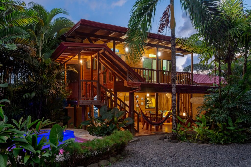 Lush green jungle plants in Bahía Ballena representing the new life and growth that happens when we make space.