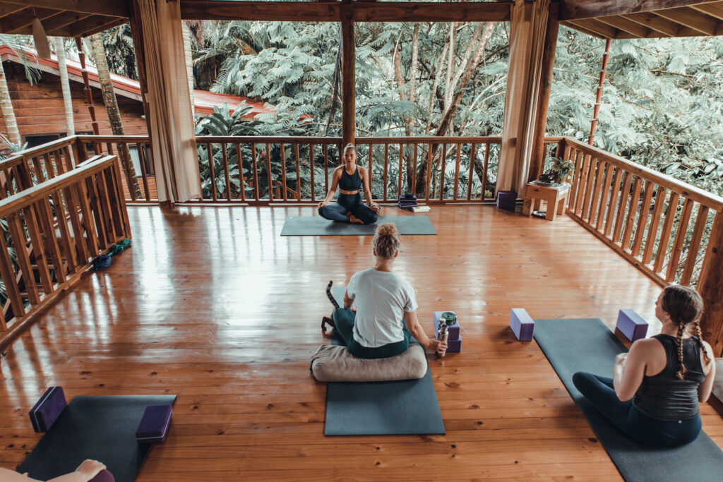 bodhi guests 